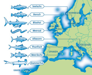 Illustrated map "Deep sea fishing in Europe" (Client: Best Life)